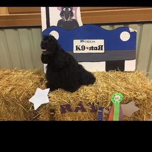 Meet your Posher, Linda